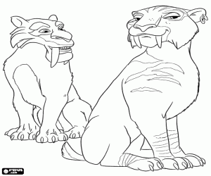 Coloriage Les tigres Diego et Shira