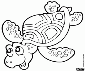 Coloriage Tortue marine