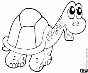 Coloriage Tortue