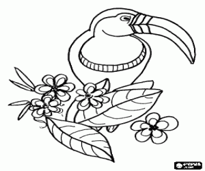 Coloriage Toucan dans une branche fleurie