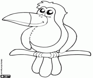 Coloriage Toucan