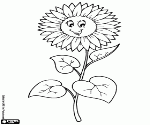 Coloriage Tournesol