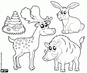 Coloriage Trois animaux de la forêt