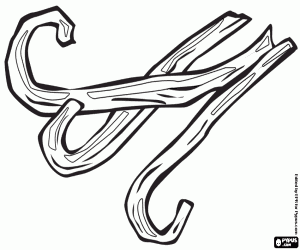 Coloriage Trois gousses de vanille