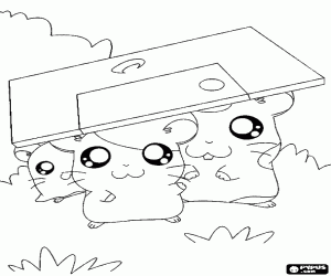Coloriage Trois hamsters avec protection