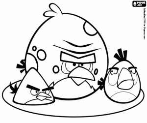 Coloriage Trois oiseaux en colère, Angry Birds
