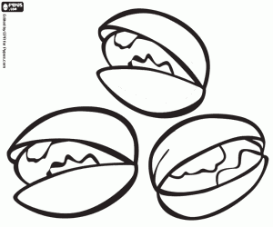 Coloriage Trois pistaches avec coquille