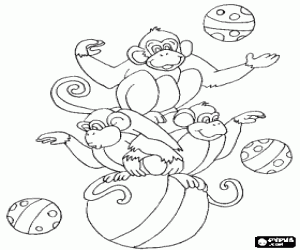 Coloriage Trois singes jouant avec des boules
