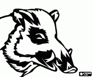 Coloriage Tête de sanglier avec défenses