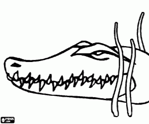 Coloriage La tête d'un crocodile