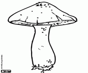 Coloriage Un autre type de champignon terrestre