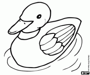 Coloriage Un canard nageant dans le lac