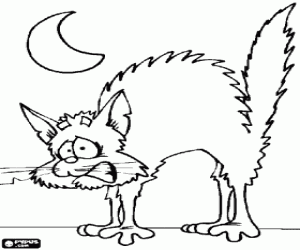Coloriage Un chat agressif et la lune