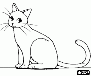 Coloriage Un chat bouge la queue