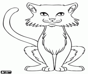 Coloriage Un chat, vue de face