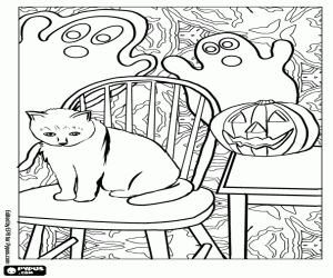Coloriage Un chaton le soir d’Halloween