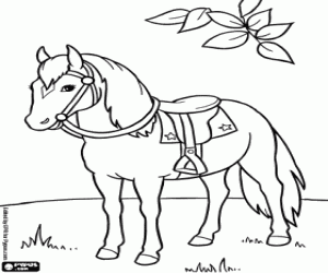Coloriage Un cheval avec selle