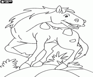 Coloriage Un cheval de peau tachetée