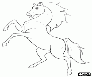 Coloriage Un cheval sur les pattes arrière