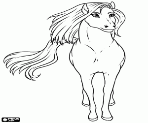 Coloriage Un cheval sauvage extraordinaire