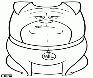 Coloriage Un chien de compagnie, Mel