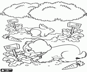 Coloriage Un chien, un lapin et les carottes