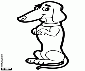 Coloriage Un chien teckel, numéro 1