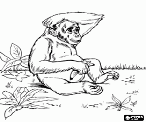 Coloriage Un chimpanzé avec une banane