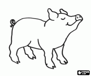 Coloriage Un cochon
