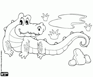 Coloriage Un crocodile marin de l’Australie