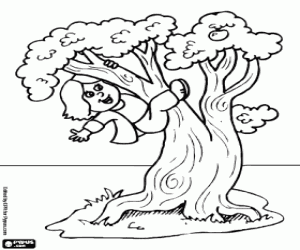 Coloriage Un enfant grimpe un arbre
