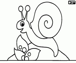 Coloriage Un escargot sur une pierre