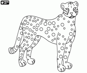Coloriage Un félin africain, le guépard