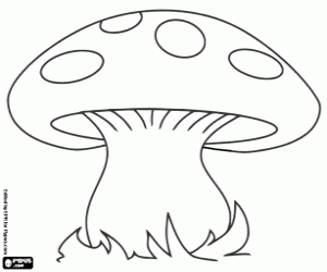 Coloriage Un gros champignon dans la forêt
