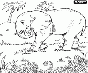 Coloriage Un gros éléphant dans la végétation