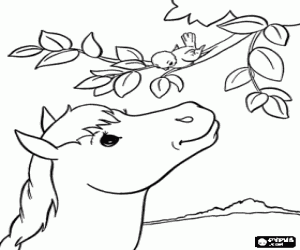 Coloriage Un jeune cheval et un petit oiseau