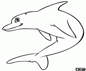Coloriage Un jeune dauphin