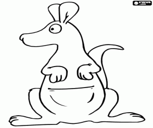 Coloriage Un kangourou, vu de face
