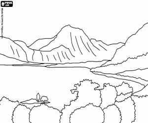 Coloriage Un lac avec de la végétation