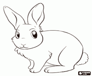 Coloriage Un lapin en état d'alerte