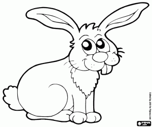 Coloriage Un lapin de désert
