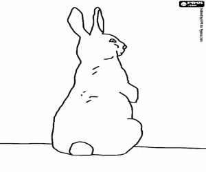 Coloriage Un lapin debout, vu de derrière