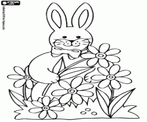 Coloriage Un lapin et des fleurs de printemps