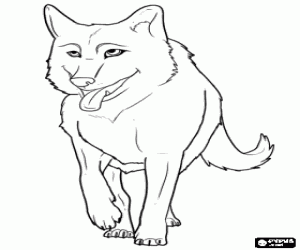 Coloriage Un loup, un animal sauvage