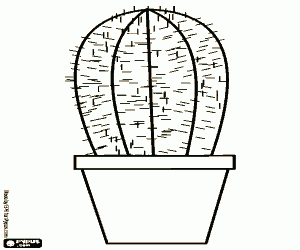 Coloriage Un petit cactus dans un pot