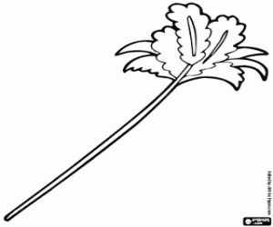 Coloriage Un plumeau à jouer avec le chat