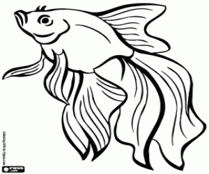 Coloriage Un poisson spectaculaire