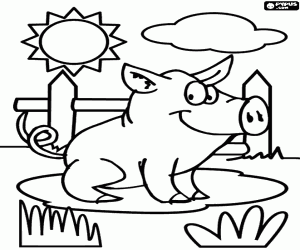 Coloriage Un porcelet de ferme