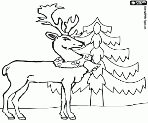 Coloriage Un renne avec un collier de Noël