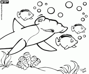 Coloriage Un requin-marteau chez les poissons